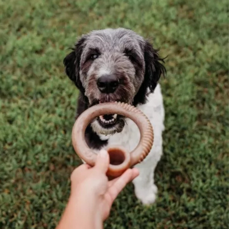 Benebone RING Bacon